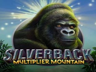 Silverback Multiplier Mountain thumbnail